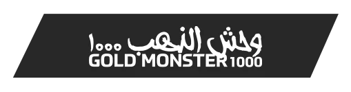 İstanbul Minelab Gold Monster 1000 - Gold Monster 1000 küçük altın dedektörü